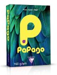 Papago hellgrau, farbiger Kopierkarton 160 g/m² A4